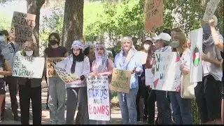 Savannah for Palestine