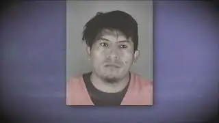 SAVE AMERICA FROM DEMOCRAT-RUN SANCTUARY CITIES