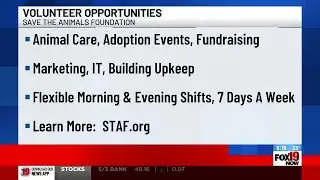 Save the Animals Foundation looking for volunteers