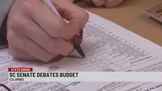 SC Senate debates budget proposal
