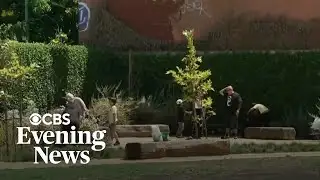 School cools playground by 40 degrees after replacing asphalt with grass