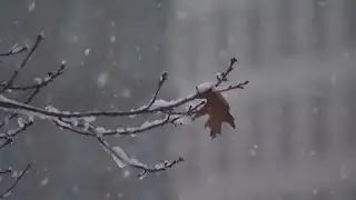 School delays impact students