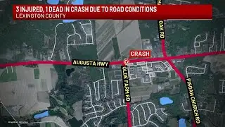 SCHP: 1 killed, 3 hurt in Lexington County crash