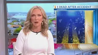 SCHP: 1 killed in Dorchester Co. single-vehicle crash