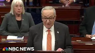 Schumer puts forward new plan to end government shutdown