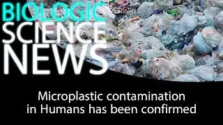 Science News  - Microplastic contamination in Humans has been confirmed