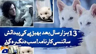 𝐒𝐜𝐢𝐞𝐧𝐭𝐢𝐬𝐭𝐬 𝐁𝐫𝐢𝐧𝐠 𝐃𝐢𝐫𝐞 𝐖𝐨𝐥𝐟 𝐁𝐚𝐜𝐤 𝐟𝐫𝐨𝐦 𝐄𝐱𝐭𝐢𝐧𝐜𝐭𝐢𝐨𝐧 𝐀𝐟𝐭𝐞𝐫 𝟏𝟑,𝟎𝟎𝟎 𝐘𝐞𝐚𝐫𝐬 – 𝐁𝐫𝐞𝐚𝐤𝐭𝐡𝐫𝐨𝐮𝐠𝐡 𝐃𝐢𝐬𝐜𝐨𝐯𝐞𝐫𝐲!