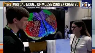 Scientists Build Digital Mouse Brain with 10 Million Neurons Using Supercomputer