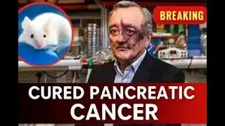 Scientists “Cure” Pancreatic Cancer In Mice!!! Huge Breakthrough!!!!!!