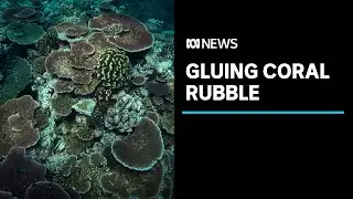 Scientists develop a 