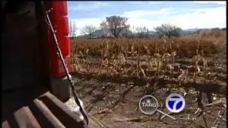 Scientists Develop Genetically-Engineered Chile