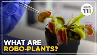 Scientists develop ‘robo-plants’ to interact with plants