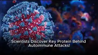 Scientists Discover Key Protein Behind Autoimmune Attacks!