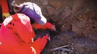 Scientists discover megaraptor fossils in Chile