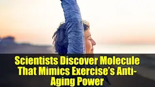 Scientists Discover Molecule That Mimics Exercise’s Anti-Aging Power