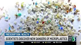 Scientists Discover New Dangers of Microplastics