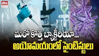 Scientists discover Tersicoccus phoenicis Bacteria | ‘Play Dead’ and disrupt space cleanliness Rules