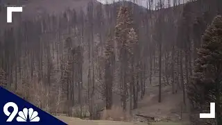 Scientists: Early snowmelt in the spring leads to higher wildfire danger