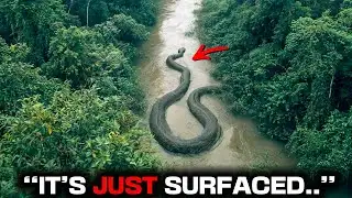 Scientists JUST Discovered New Enormous Snake in Amazon And It