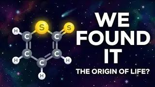 Scientists Just Found the Missing Link to Our Origin
