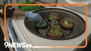 Scientists studying   impacts of microplastics found in snow