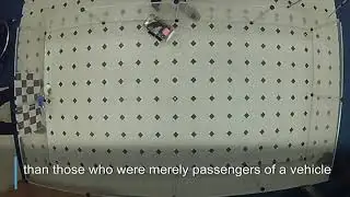 Scientists successfully train rats to drive tiny cars