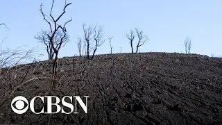 Scientists warn 2019 could be the hottest year on record