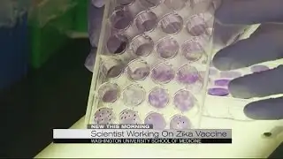 Scientists working on Zika vaccine