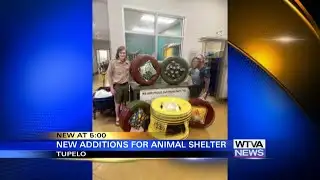 Scout creates unique beds for Tupelo animal shelter