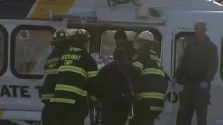 Scout leader mauled by bear in NJ