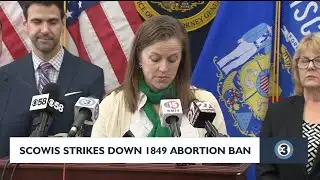 SCOWIS strikes down 1849 abortion ban