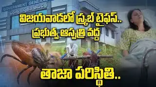 Scrub Typhus  కేసులతో విజయవాడలో అలజడి. Chigger Bite అంటే ఏంటి? | Oneindia Telugu