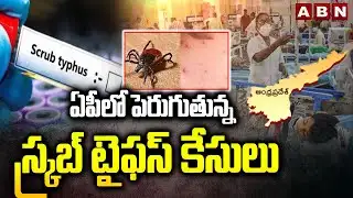 ఏపీలో పెరుగుతున్న స్క్రబ్ టైఫస్ కేసులు || Scrub Typhus Cases Increasing In AP || ABN