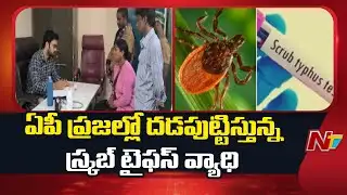 Scrub Typhus Cases Rising In AP | NTV Telugu