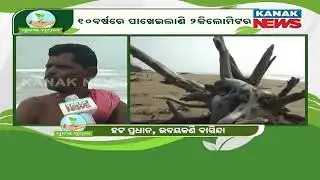 Sea Erosion Sparks Panic in Astaranga as Tree Cutting Escalates