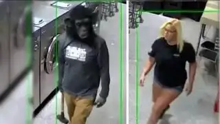 Search continues for coin thieves who used monkey mask & sledgehammer in Englewood theft