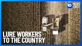 Search For Regional Workers | 10 News First