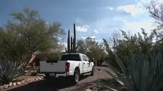 Search for Savannah Guthrie