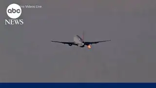 Seattle-bound Delta flight makes emergency landing after bird strike during takeoff