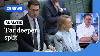 Second Coalition split could benefit One Nation polling, analyst says | ABC NEWS