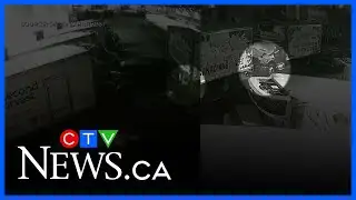 Second Harvest staff shaken by truck vandalism