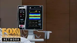 Second HIV patient appears cured after stem cell transplant: Report