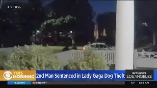 Second man sentenced in Lady Gaga dog theft