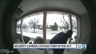 Security camera catches porch package poacher in the act