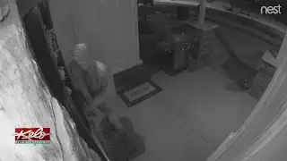 Security Camera Catches Would-Be Thief In The Act