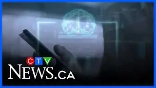 Security experts say a viral social media trend is helping AI get smarter