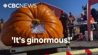 See the 1,190-pound pumpkin that wowed crowds in P.E.I.