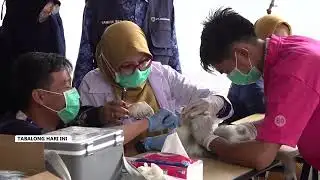 Selama 2025 DKPPP Tangani 47 Kasus GHPR, 5 Positif Rabies