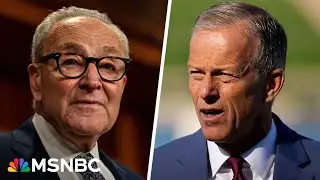 Senate begins procedural vote to end government shutdown