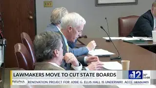 Senate committee advances bill to cut boards, commissions